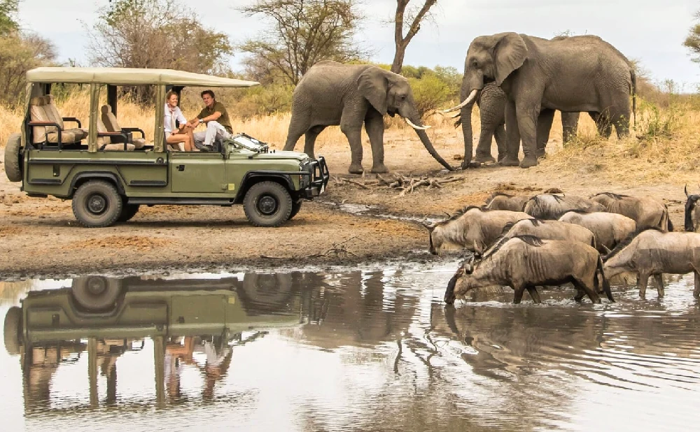 
5 Days Best Of Tanzania Safari