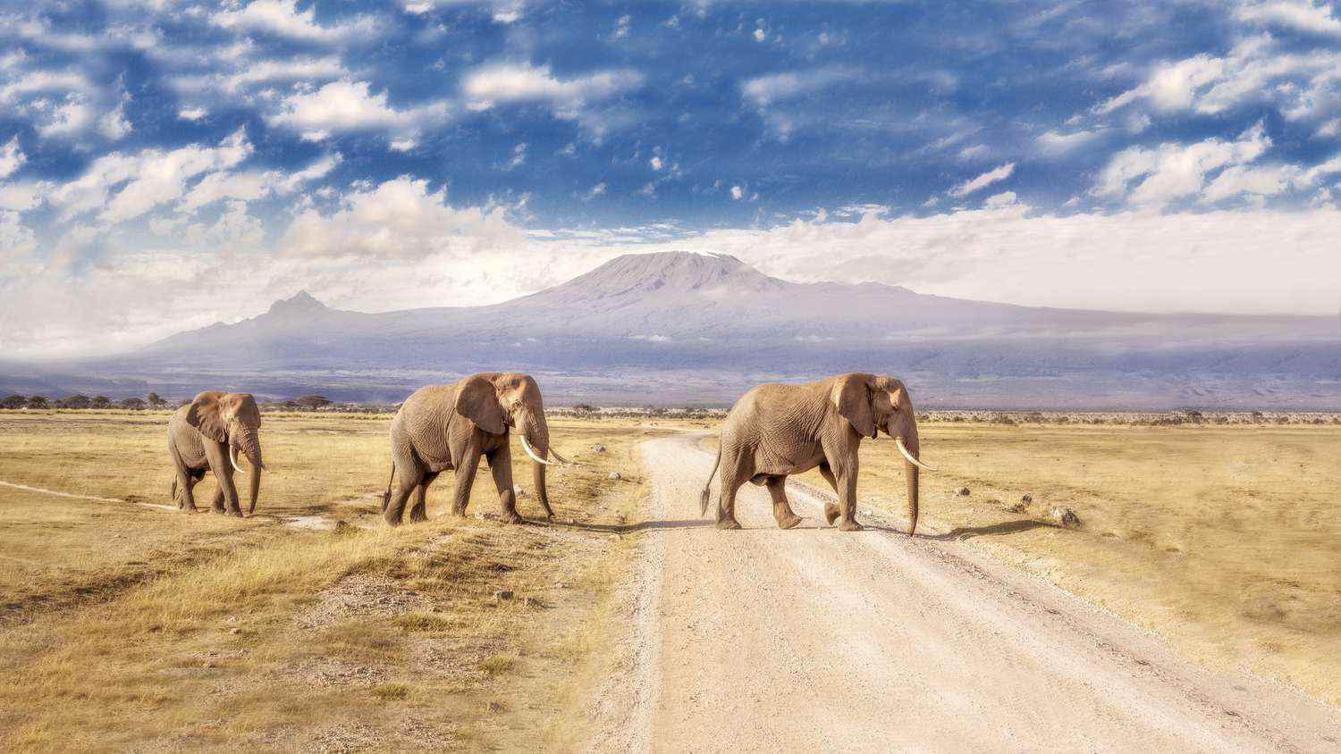 
Why Amboseli National park is a must visit