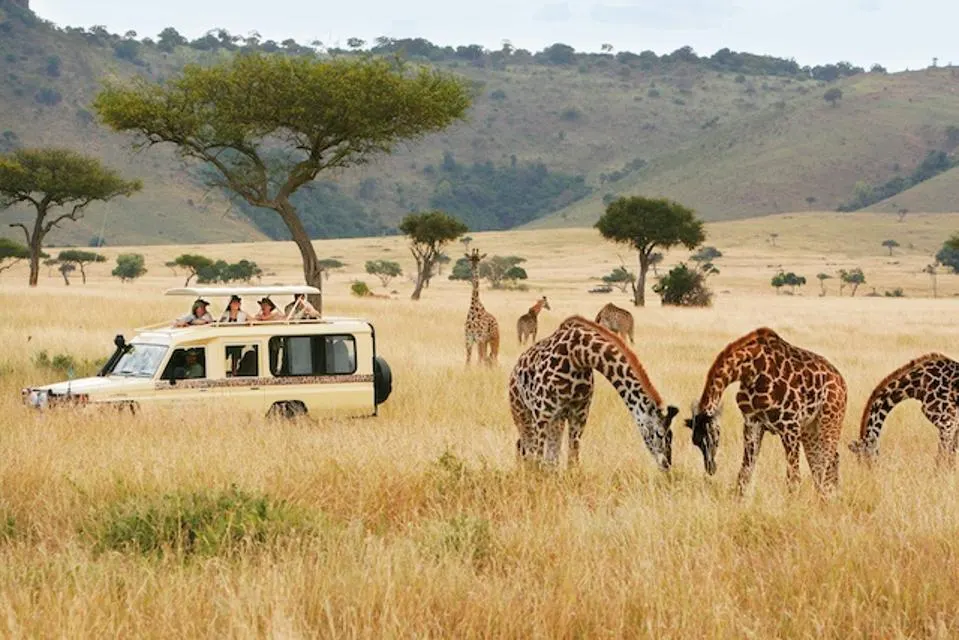 
10 Day Kenya Classic Luxury Safari