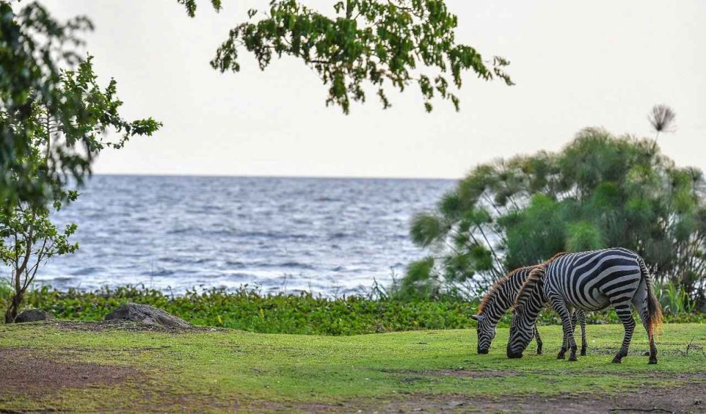 Ndere Island National Park