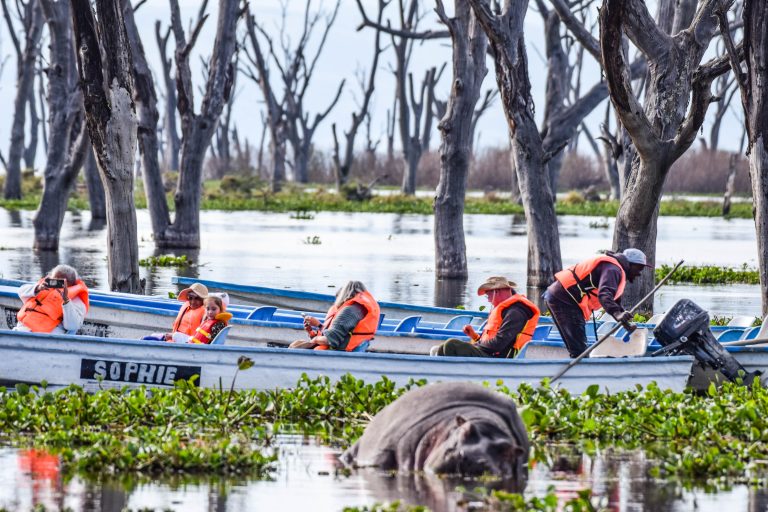 Clients enjoying a boat ride with hippos on lake Naivasha during a Kenya safari