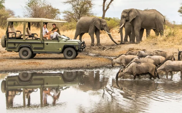 5 Days Best Of Tanzania Safari
