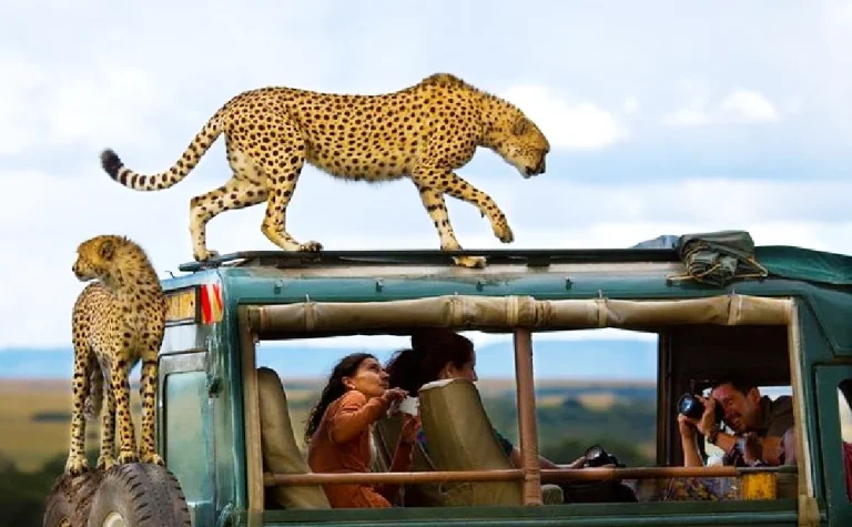 9 Days Tanzania Safari