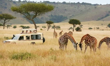 10 Day Kenya Classic Luxury Safari