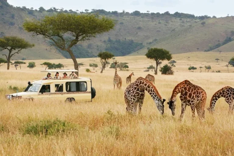 10 Day Kenya Classic Luxury Safari