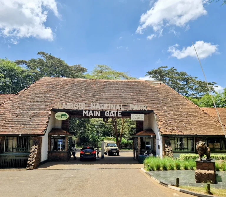 Nairobi National Park Half-Day Safari – Luxury Wildlife Escape in the City