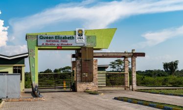 Wildlife and scenic landscape in Queen Elizabeth National Park Uganda with savannah plains and diverse safari animals