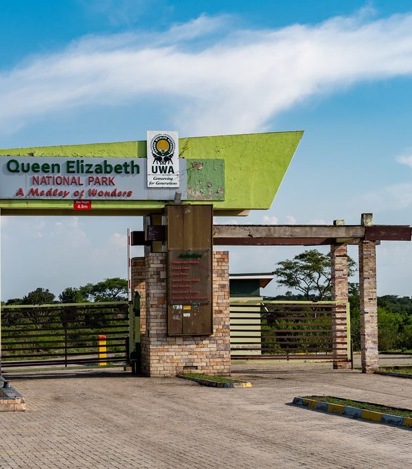 Wildlife and scenic landscape in Queen Elizabeth National Park Uganda with savannah plains and diverse safari animals