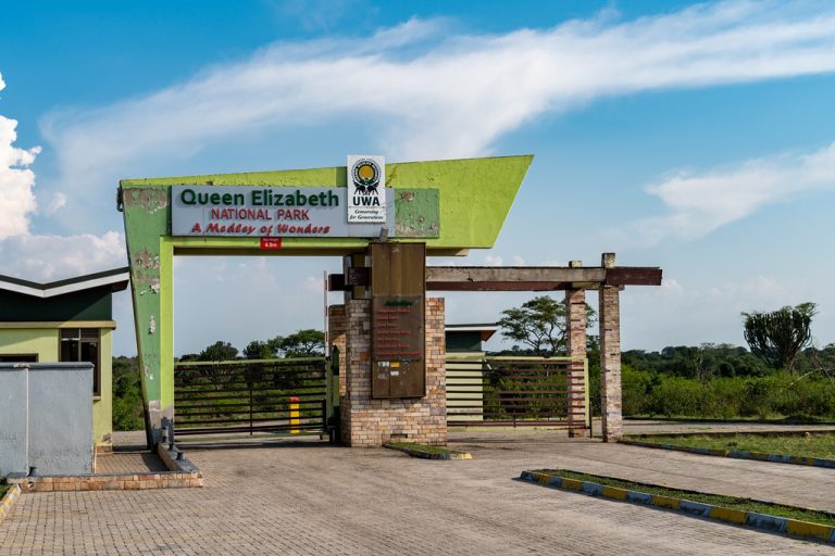 Wildlife and scenic landscape in Queen Elizabeth National Park Uganda with savannah plains and diverse safari animals