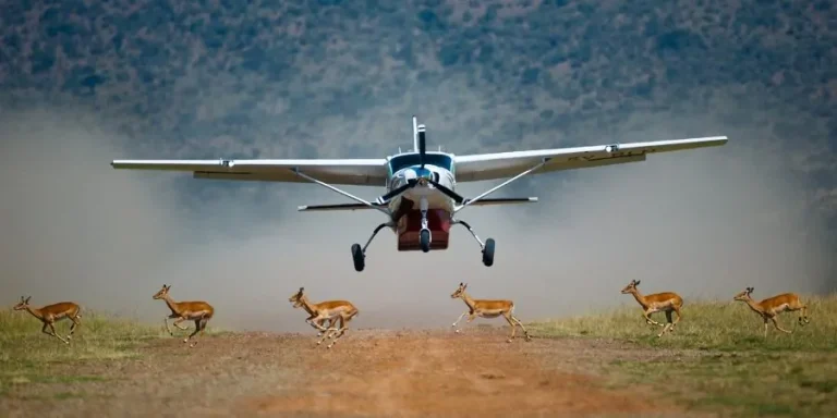 First-time travelers enjoying an African safari game drive in Kenya during a wildlife safari experience