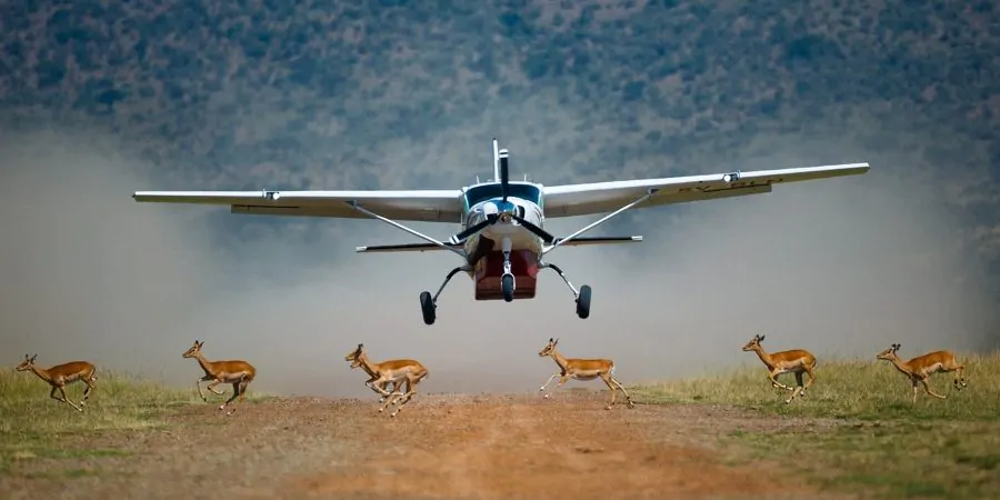First-time travelers enjoying an African safari game drive in Kenya during a wildlife safari experience