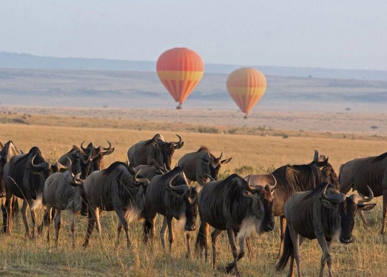 7 Days Kenya Safari – Amboseli, Naivasha & Masai Mara3 Days Safari