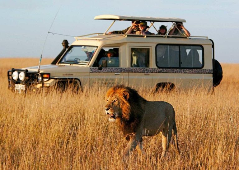 Honeymoon Safari – Romantic Kenya Experience