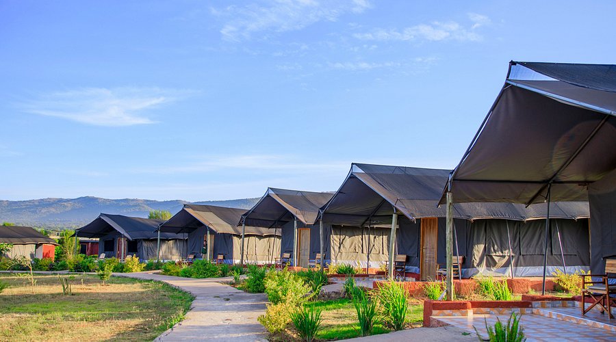 Mara Endeem Budget Camp accommodation in Masai Mara featuring comfortable safari tents and affordable lodging for a memorable Kenya wildlife safari.