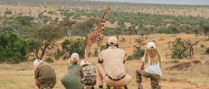 A family squatting low in the golden grass of the Masai Mara to quietly observe a tower of giraffes grazing in the distance, led by the Best Kenya family safari guide for an immersive wilderness experience