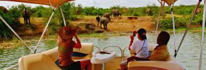 Boat safari on Kazinga Channel in Queen Elizabeth National Park Uganda with hippos elephants and birds along the shoreline