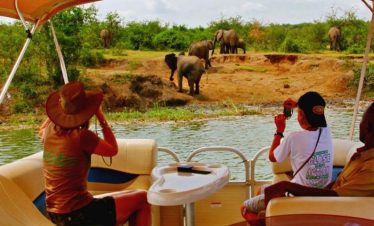 Boat safari on Kazinga Channel in Queen Elizabeth National Park Uganda with hippos elephants and birds along the shoreline
