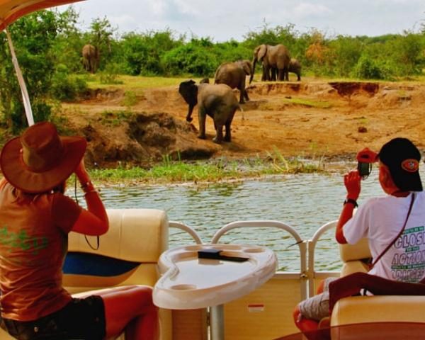 Boat safari on Kazinga Channel in Queen Elizabeth National Park Uganda with hippos elephants and birds along the shoreline