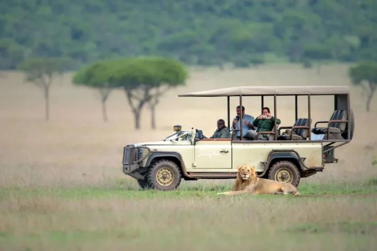 Luxury safari jeep exploring the Serengeti National Park plains during a wildlife game drive