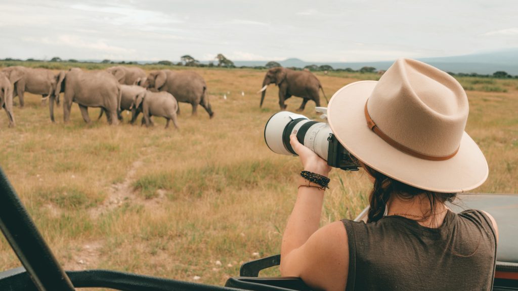 Solo traveller photographing wildlife on African safari