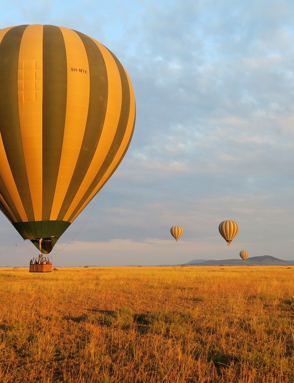 A colorful hot air balloon flying over the vast, golden savanna plains of the Maasai Mara at sunrise, with scattered acacia trees and small silhouettes of wildlife visible on the ground below.