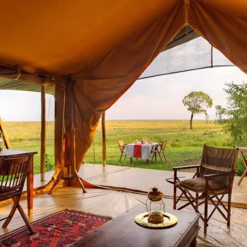 Luxury Kenya Safari Lodges in Maasai Mara featuring an elegant tented suite overlooking the savannah with wildlife views.
