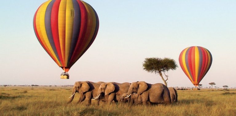 elephants walking past a hot air balloon during a game drive in masai mara