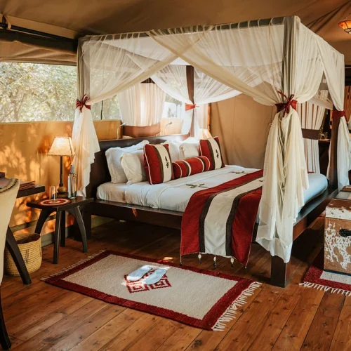 Kenya Weather Guide for Safari — dramatic savannah landscape during sunrise in Kenya showcasing ideal safari weather conditions and wildlife scenery.