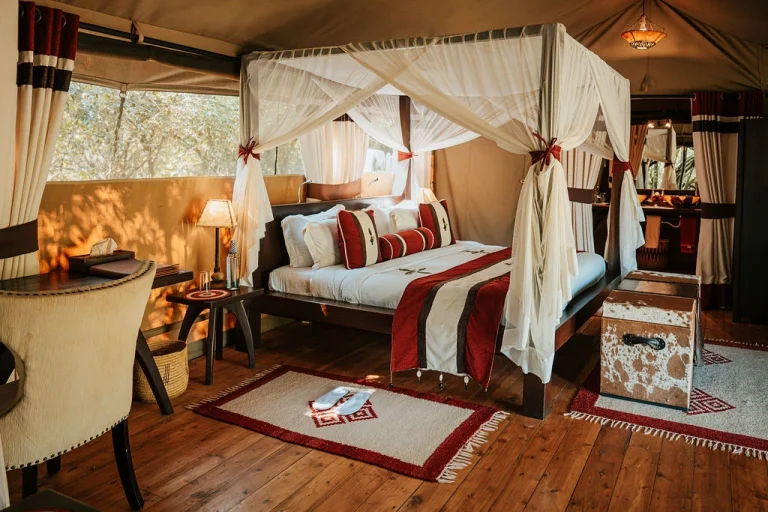 Kenya Weather Guide for Safari — dramatic savannah landscape during sunrise in Kenya showcasing ideal safari weather conditions and wildlife scenery.