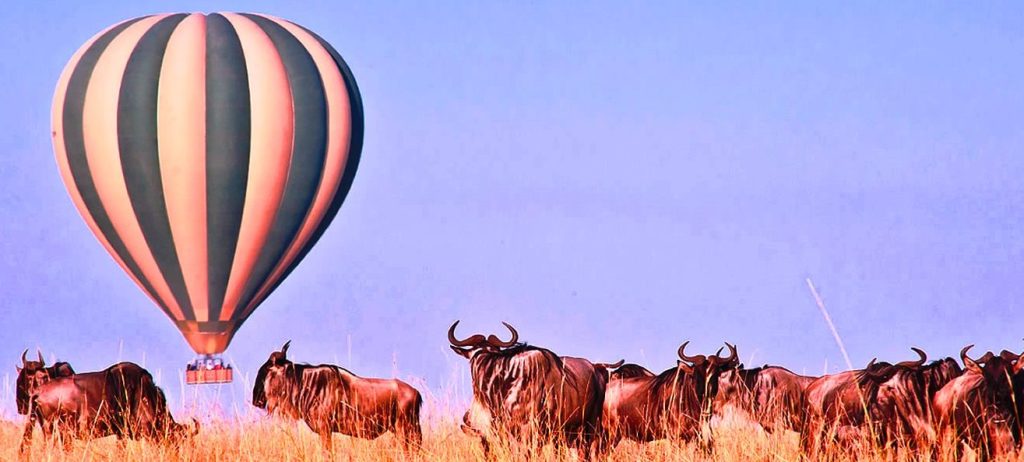Hot Air Balloon Masai Mara safari floating above the Maasai Mara plains during sunrise with wildlife roaming across the savannah below