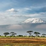 7 day Kenya safari — elephants in Amboseli with Mount Kilimanjaro behind