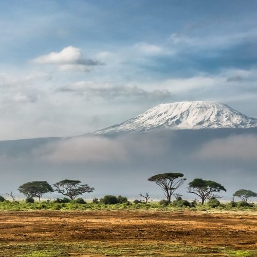 7 day Kenya safari — elephants in Amboseli with Mount Kilimanjaro behind