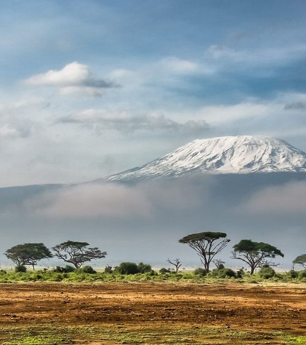 7 day Kenya safari — elephants in Amboseli with Mount Kilimanjaro behind