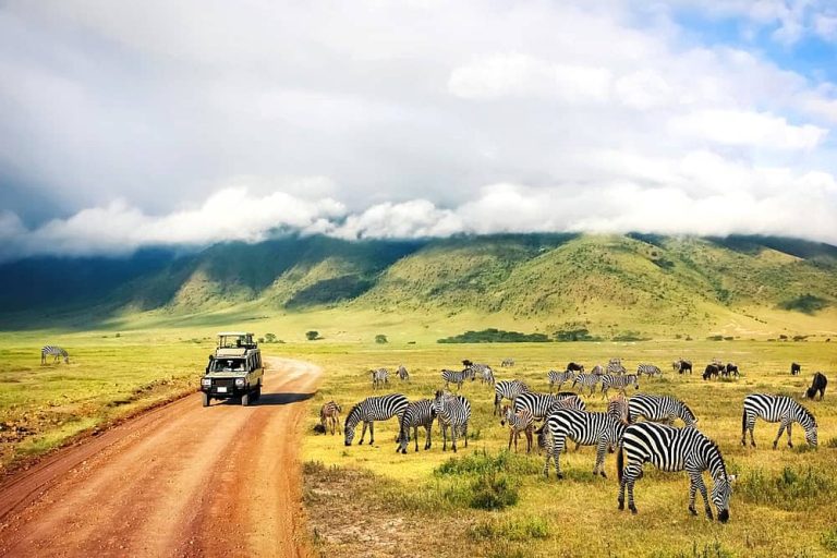 8 Day Tanzania Safari to Serengeti, Ngorongoro, Tarangire, and Lake Manyara
