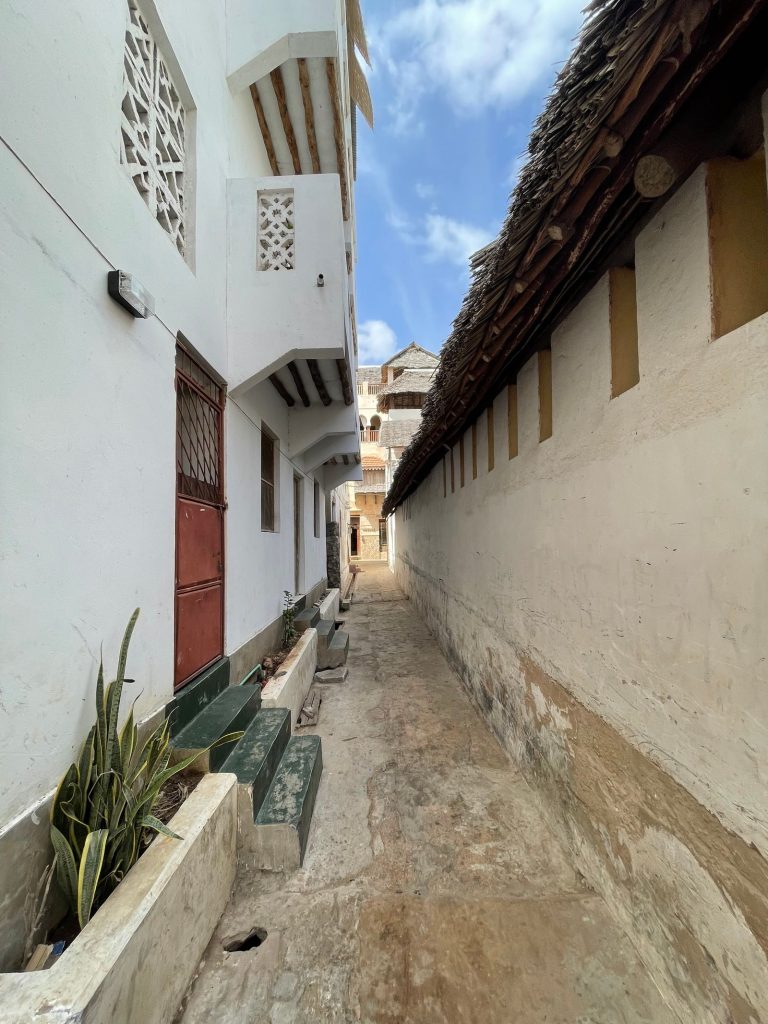 Swahili old town alley on the Kenyan coast, Lamu heritage tour