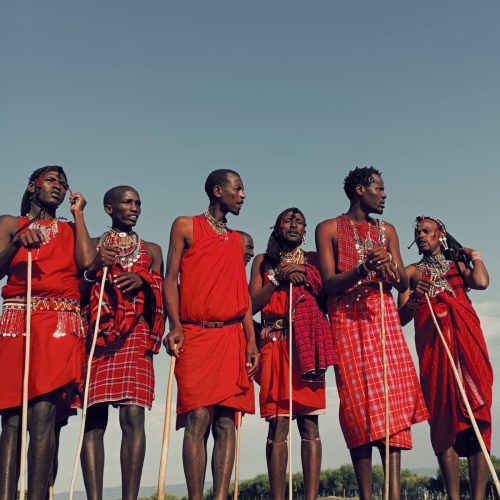 Traditional Maasai warriors in the Masai Mara, Kenya cultural safari