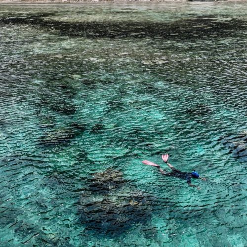 Snorkeling a coral reef, Watamu and Malindi marine escape Kenya coast