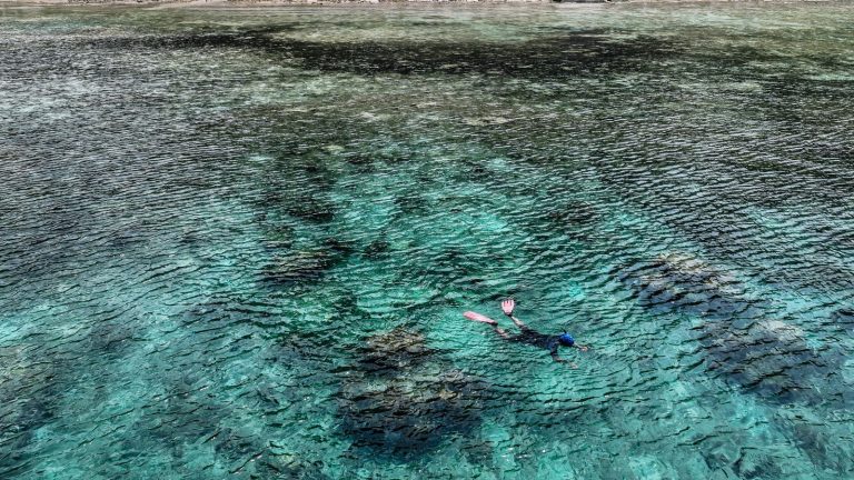 Snorkeling a coral reef, Watamu and Malindi marine escape Kenya coast