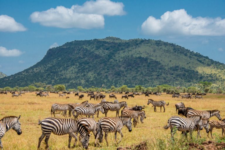 Best Tarangire National Park Day Safari from Arusha