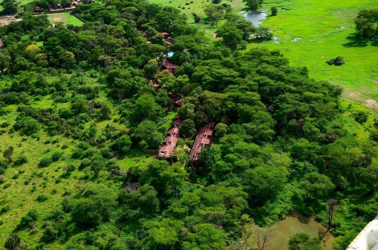 Aerial view of Amboseli Serena Safari Lodge set in green forest by the marsh
