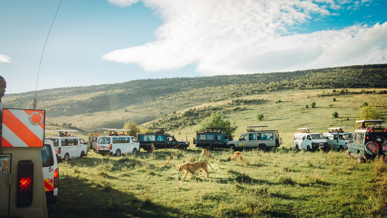 Safari vehicle game drive in the Masai Mara
