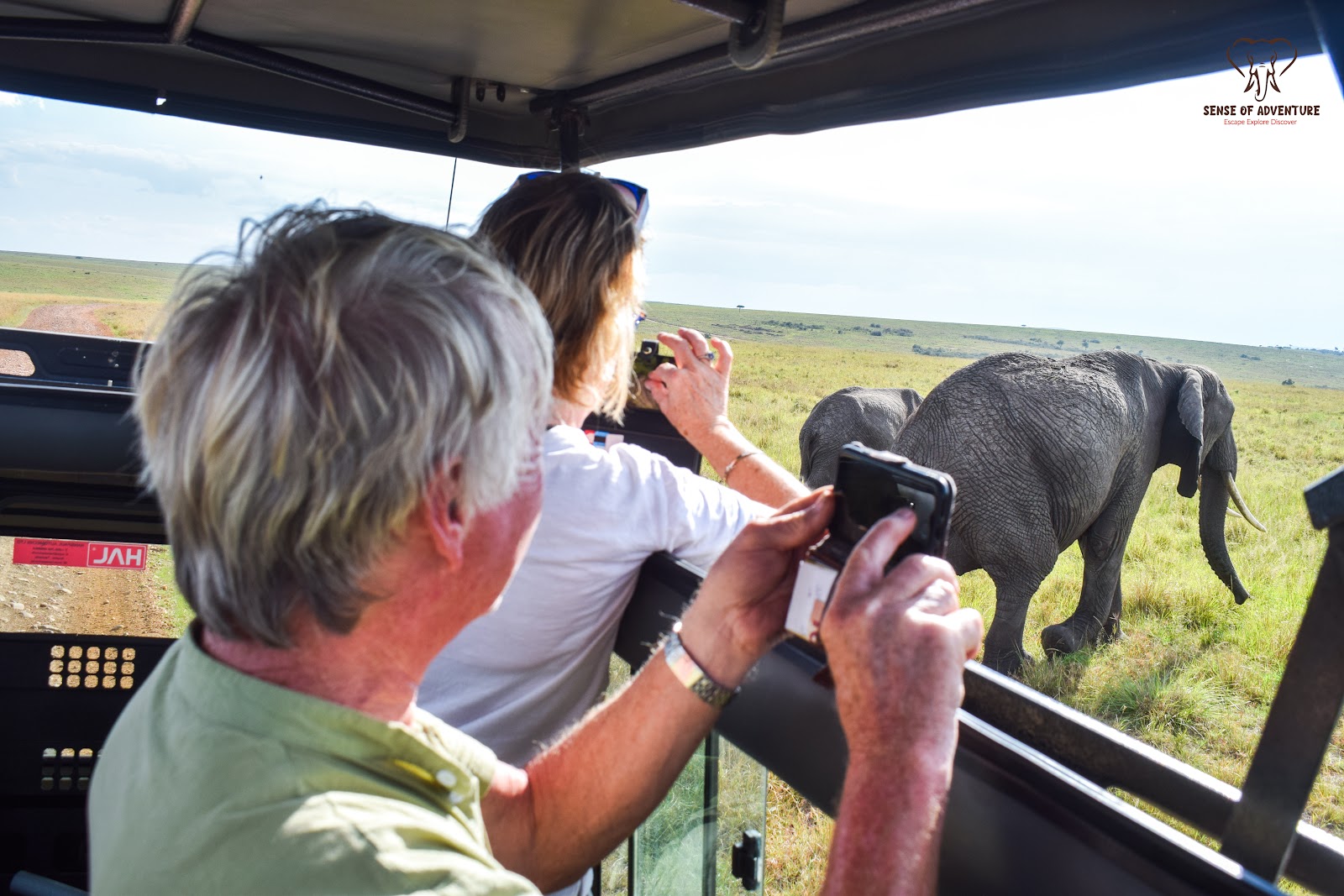 Guided safari van with guests photographing elephants