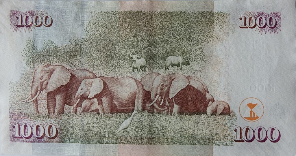 A Kenyan 1,000 shilling banknote, the country's currency