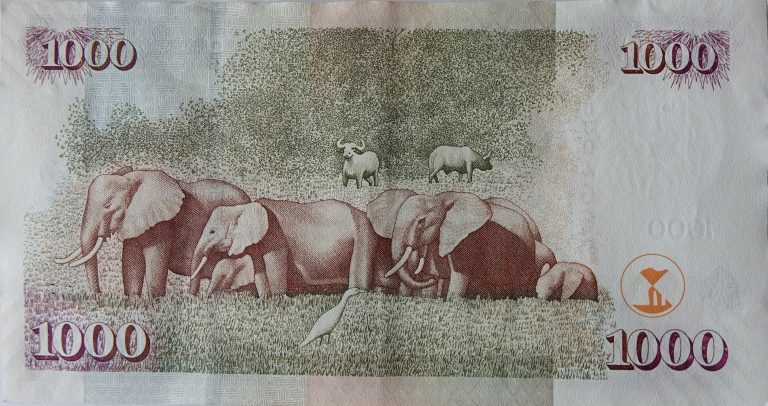 A Kenyan 1,000 shilling banknote, the country's currency