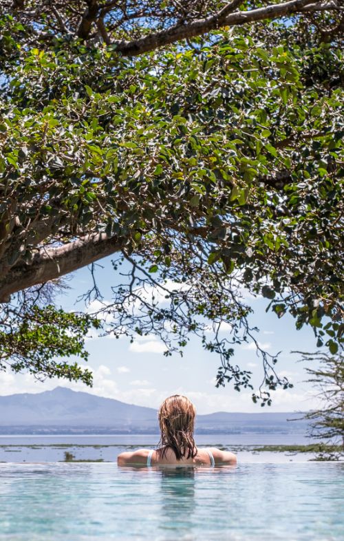 Infinity pool under a fig tree overlooking Lake Naivasha at Loldia House