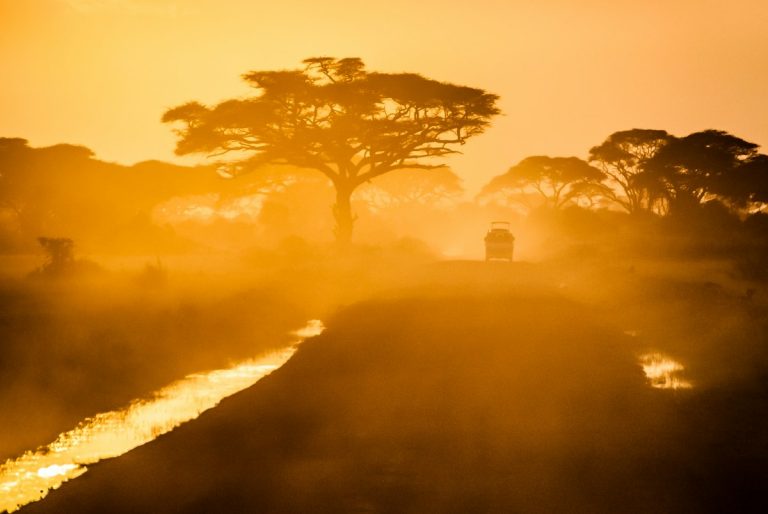 Safari vehicle driving between acacia trees after flights from Europe to Nairobi