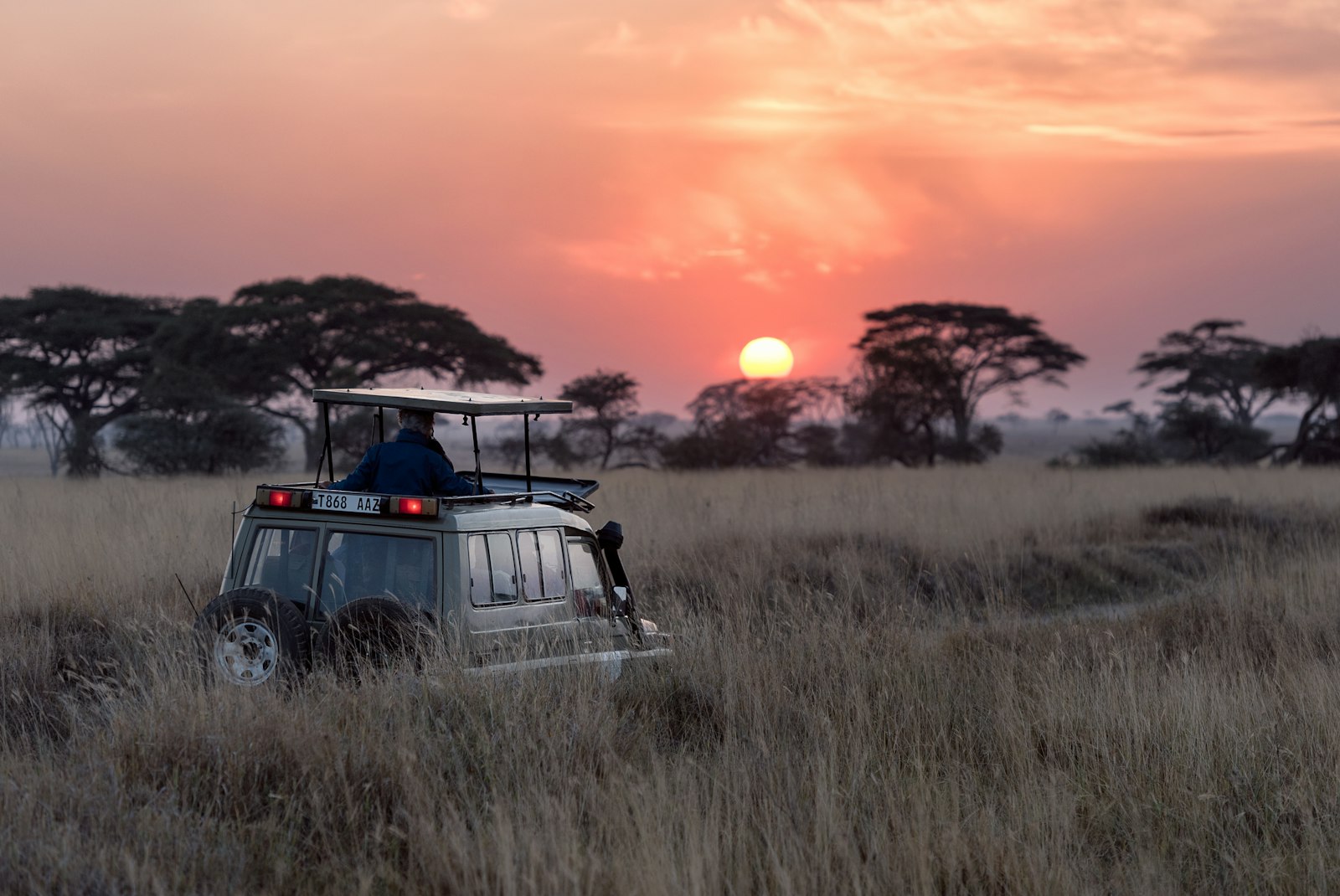 Safari guide in an open 4x4 vehicle on a late afternoon game drive at sunset