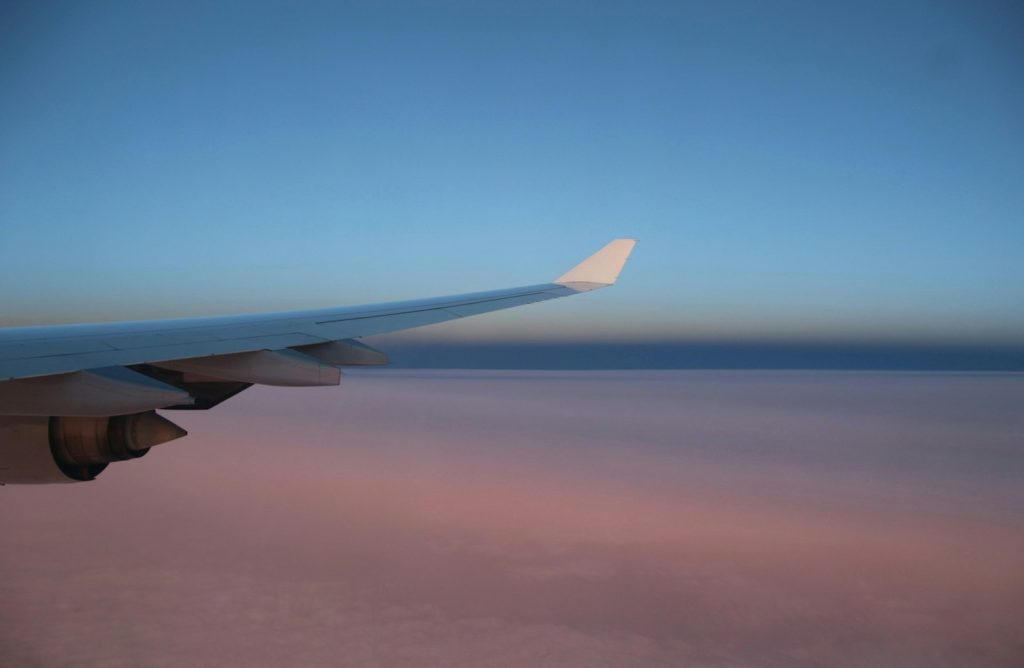 Flights or safari first: view of a white airplane wing against a clear blue sky
