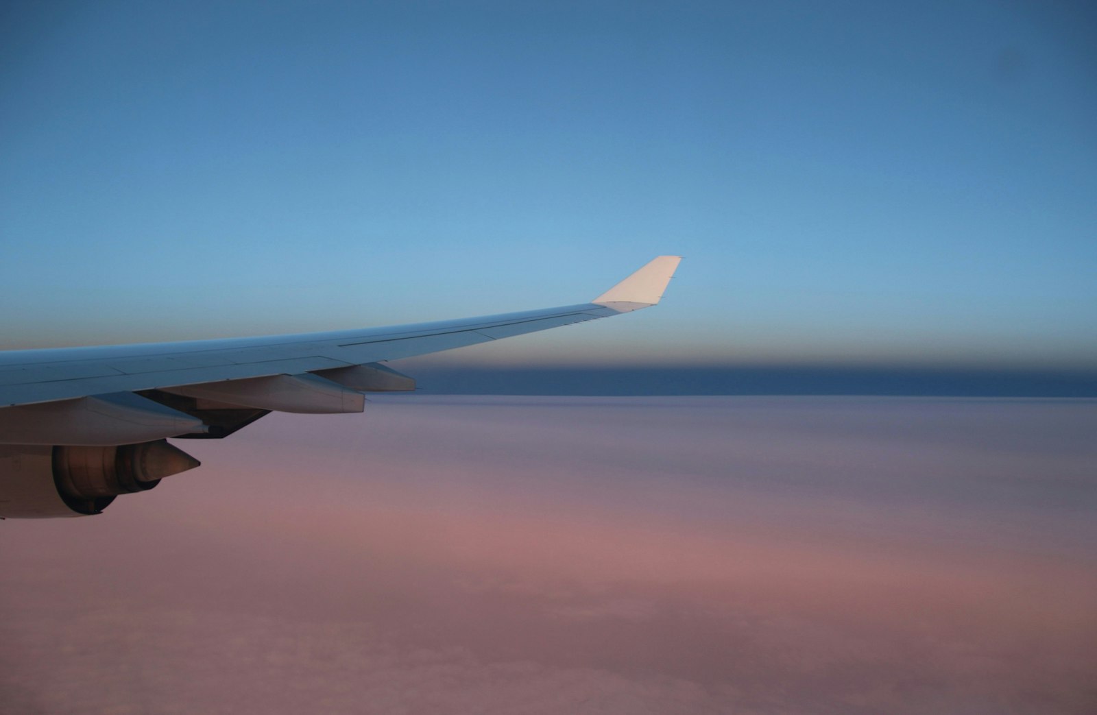 Flights or safari first: view of a white airplane wing against a clear blue sky