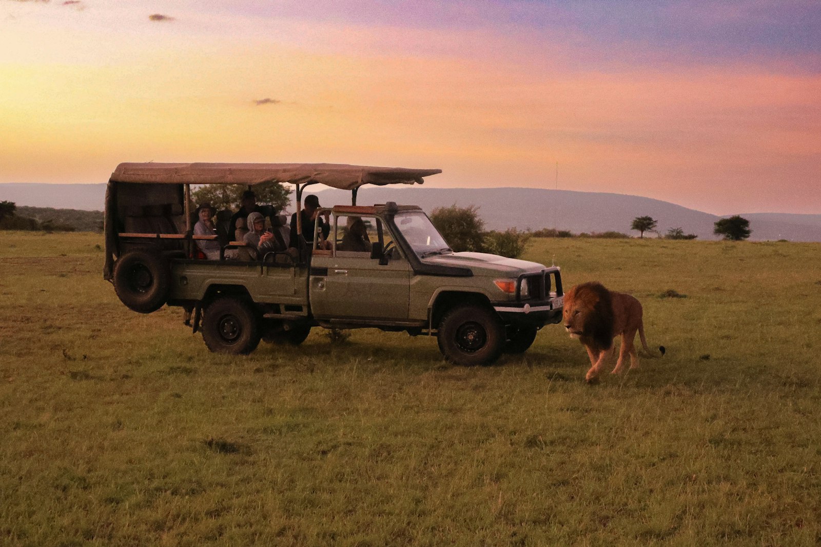 Kenya safari with teenagers: family watching a lion from an open safari vehicle